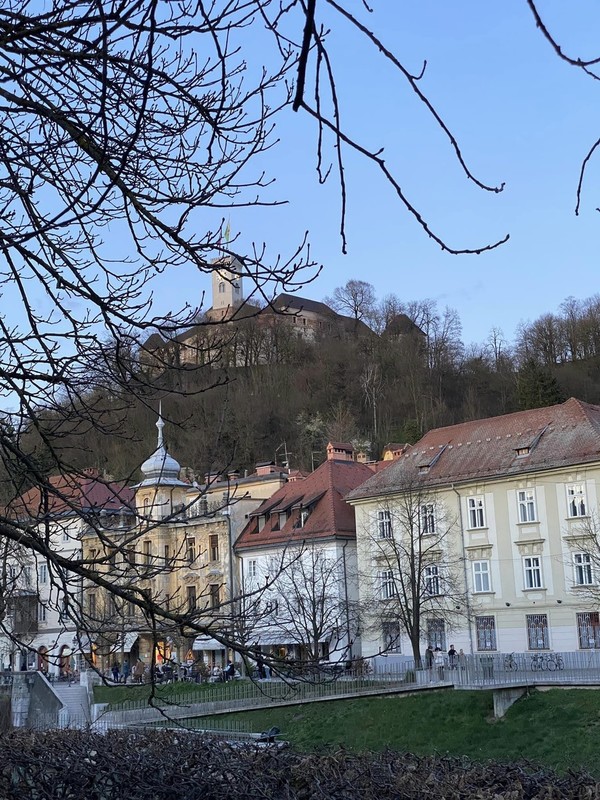 aktualno/Prodajana-razstava-v-DLUL_1